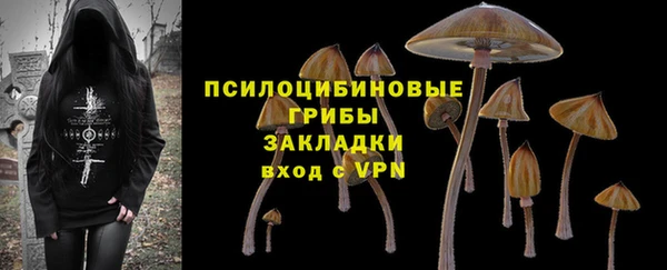 apvp Кодинск