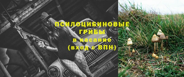 apvp Кодинск