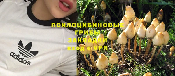 apvp Кодинск