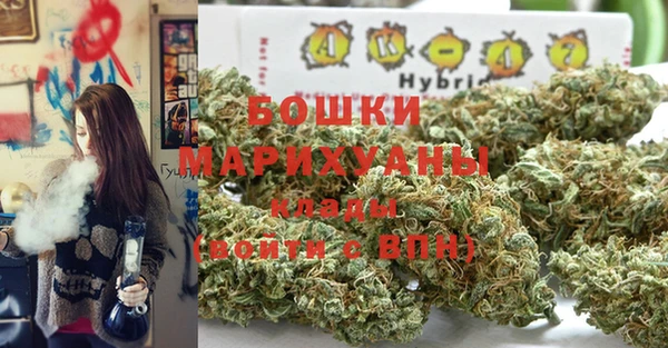 метадон Козельск