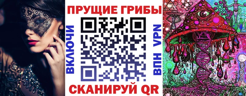 Купить где  Зверево  Псилоцибиновые грибы прущие грибы 